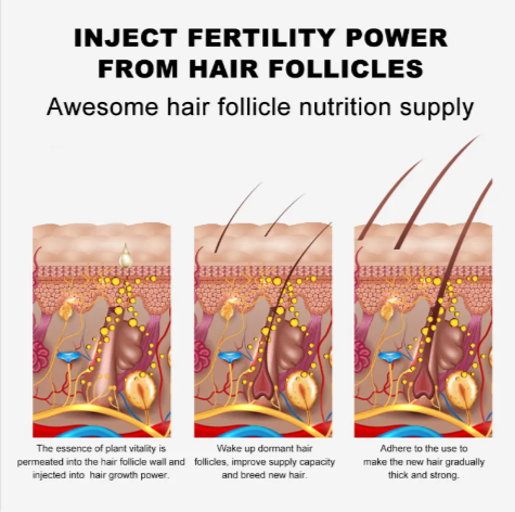 Eyebrow Growth Aid Oil 15ml
